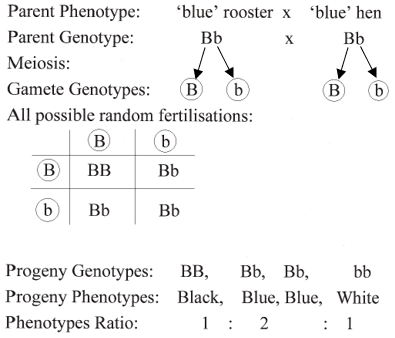 Leaving Certificate Biology (Higher) 2020: Q12