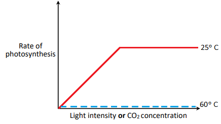 Leaving Certificate Biology (Higher) 2022: Q9