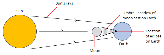 Junior Cycle Science (Common Level) 2023: Q13