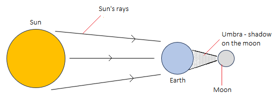 Junior Cycle Science (common Level) 2023: Q13