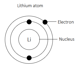 Junior Cycle Science (Common Level) 2023: Q10